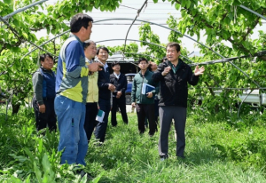 김천시, ‘4월 초 이상저온’ 피해 농가 신고접수 및 정밀 조사 실시