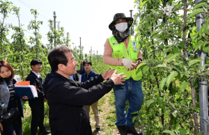 김천시, 공공형 계절 근로 영농현장 점검