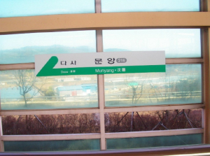 [기획보도] 성주군 대중교통, 확! 바뀐다