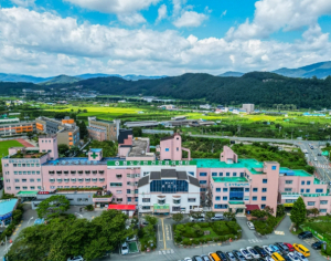 청도군 대상포진 무료 예방접종 지원 확대