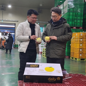경상북도, 설 명절 대비 주요 과일 수급 및 유통 상황 점검
