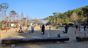 반려동물을 이해하는 시간, 포항서당개 강좌에서 배워요!