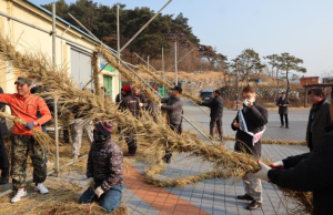청도군, 정월대보름 민속한마당 도주줄당기기 준비 착착