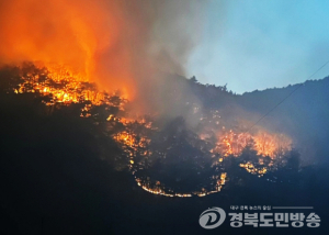 의성 산불 안동 거쳐 청송까지 위협...청송주민 2천명 대피 준비 중