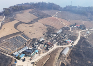 영양군, 산불 피해 농가에 신속한 지원을 위해 TF팀 구성