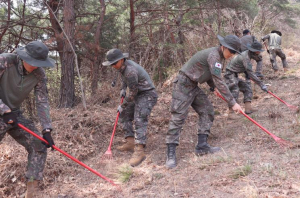 경주시 육군 제50보병사단공용화기 사격장 일대 불모지작전으로 안전사고 사전예방!