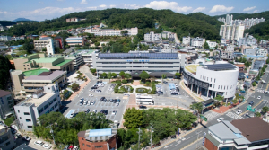 안동시, 21대 대선 공약 실무 추진단 전격 구성, 국가 대도약 이끈다!