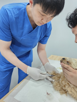 대구보건환경연구원, 인수공통감염병 예방을 위한 동물대상 선제적 감시, 시동!