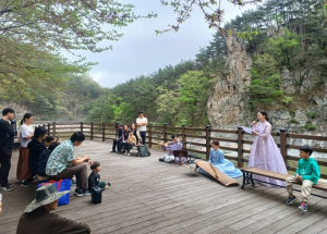 성주 회연서원에서 피어난 자연과 예술의 하모니