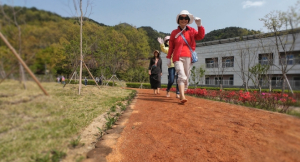 청도문화테마파크 신화랑풍류마을, 오행오감 맨발 걷기길, 힐링명소로 인기 만점