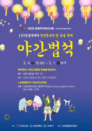 2025년 생생 국가유산 사업 안동시, `천년역사의 밤 등불축제 야간법석` 개최
