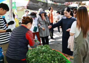 여러분의 방문이 영양군의 치유가 됩니다