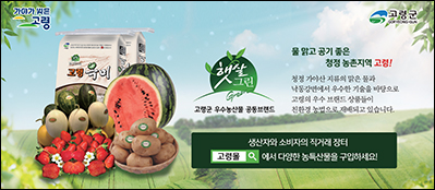 고령몰
