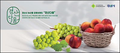 경산시