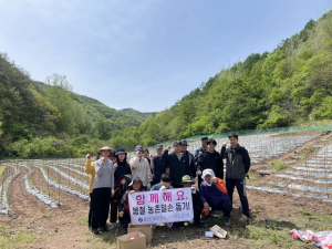 영양군 청기면, 영농철 고추농가 일손돕기에 나서