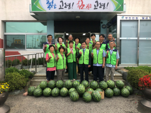 고령군 운수면, 지역사회보장협의체 자체사업 실시