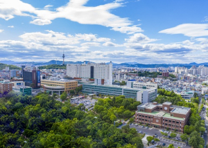 영남대의료원,  교수 1인당 SCI급 논문실적 8년 연속 전국 TOP5 수성