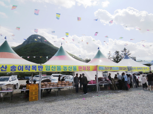 청도군, 2023 운문산 버섯 축제 개최