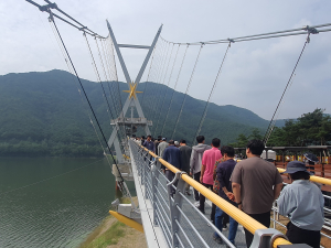 영천시, 보현산댐 출렁다리 황금연휴 기간 관광객으로 각광