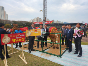 경산시, 2023년 경북 한우경진대회 우수상 수상
