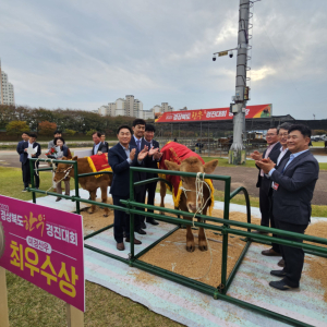 청도군,경북한우경진대회 미경산우 부문 금천면 박천석 농가 ‘최우수상’ 수상