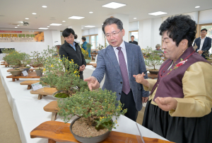군위군,국화분재 전시회 성황리에 개최
