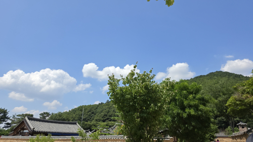 대구·경북, 낮 최고 31도 '초여름 더위'…큰 일교차 주의