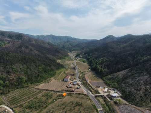경북도, 안동 길안면 백자리 경북 제2호 산림경영특구 지정…산불 딛고 산림산업 거점 도약
