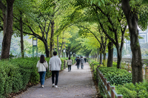 대구경북 흐리고 아침까지 곳곳 비…낮 최고 33℃ 무더위