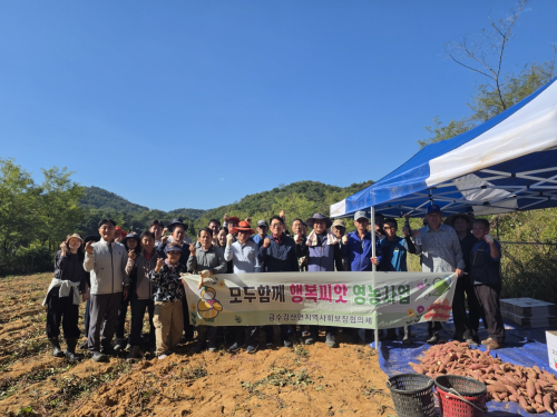 성주군 금수강산면 지사협, 고구마 수확해 취약계층 지원