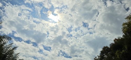 대구·경북 낮 최고 28℃…경북 내륙 오후 소나기