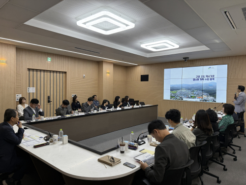 고령군, 대가야 역사 담은 원도심 거리 조성 추진