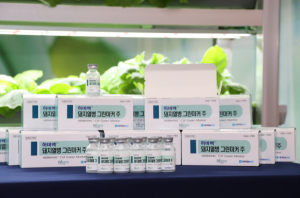세계최초 돼지열병 그린백신 국내시장 첫 출시, ‘돼지열병 청정국’ 머지않아