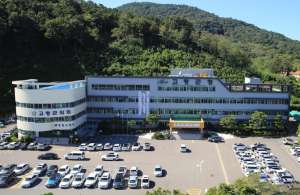 고령군, 내년부터 군민안전보험 가입