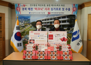 경북 예천‘피크닉’사과 싱가포르 첫 수출 물꼬