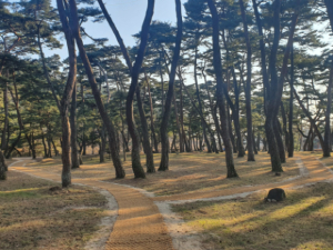 영주시, 세계유산 소수서원 ‘명품 둘레길’ 걸어볼까?