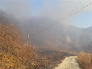 경북 봉화군 물야면 산불 발생... 산림당국 진화중