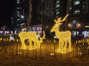 대구광역시 북구, 매천동 회전교차로 빛으로 물들다