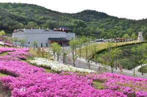 경주시 화랑마을, ‘경북도 3대 문화권 인프라 활성화 지원사업’에 선정