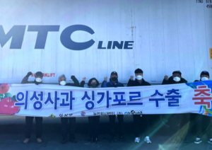 의성군, 싱가포르 입맛 사로잡은 “의성사과”수출 쾌조