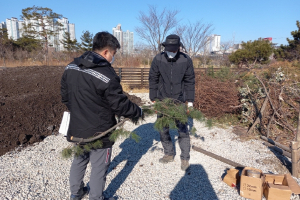 포항시, 녹지대·도시숲 올해도 철저하게 관리한다!