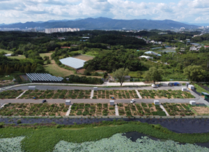 경산시, 도시농업 공영농장 분양신청 접수 시작