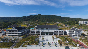 예천군, 설 명절 대비 안전문화 캠페인 진행