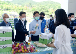 영천 마늘 특구 지정에 이어 농촌융복합 산업지구 지정!