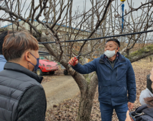 상주시 과수화상병 총력 대응 시작!
