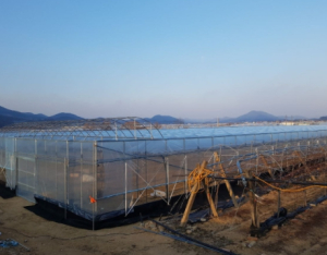상주시, 배나무 월동병해충 적기방제 당부
