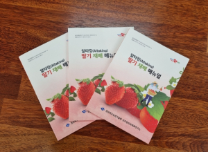 경북도, 프리미엄 수출용 딸기 ‘알타킹’ 재배 매뉴얼 발간