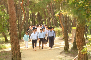 경북도, 돈 되는 산으로 가꿔 임업인 잘사는 시대 연다