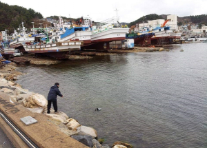 경북도, 동해연안 해·하수 중 비브리오균 분포조사 나서