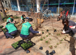 대구광역시 북구 무태조야동 새마을부녀회, 새마을협의회 봄맞이 꽃심기 행사 실시